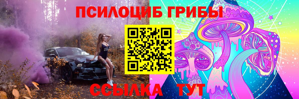 Псилоцибиновые грибы Psilocybe Калуга