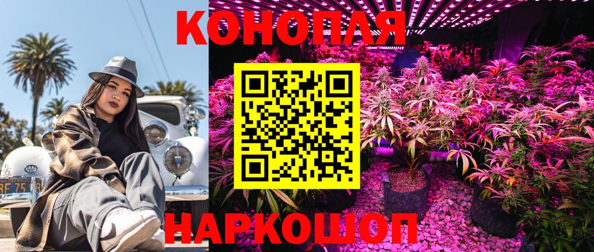 Бошки марихуана OG Kush  Канабис индика  Марихуана марихуана  Вход с VPN  Калуга 